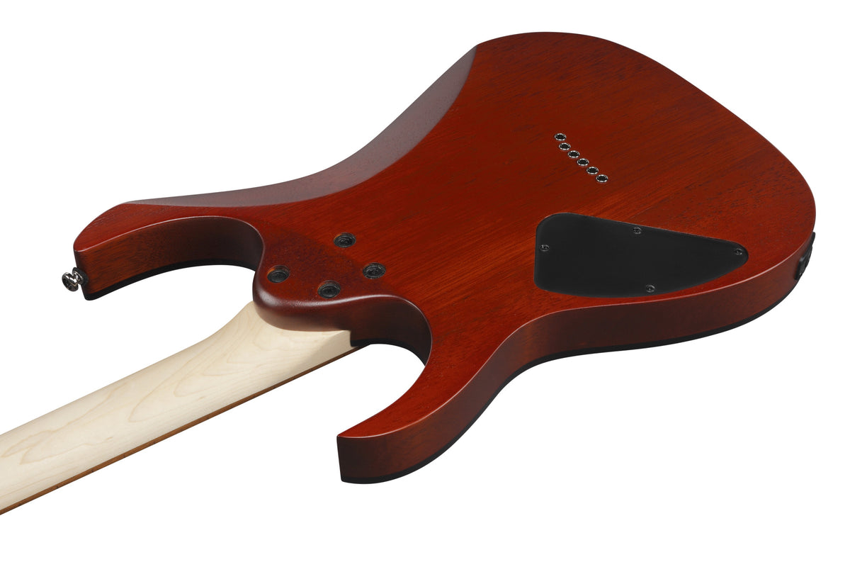 IBANEZ RG E-Gitarre 6-String - Caribbean Shoreline Flat
