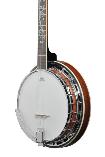 IBANEZ Banjo 5-String