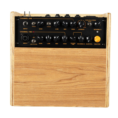 ORTEGA Amplification Series Amplifier Combo