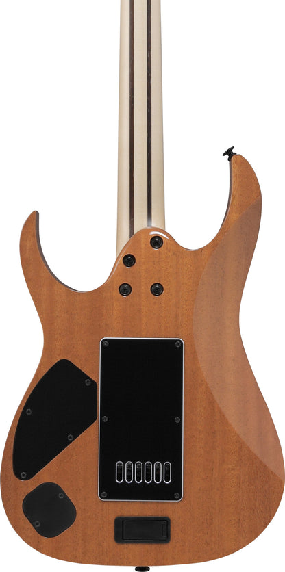IBANEZ Prestige RG E-Gitarre 6-String - Polar Lights + Koffer
