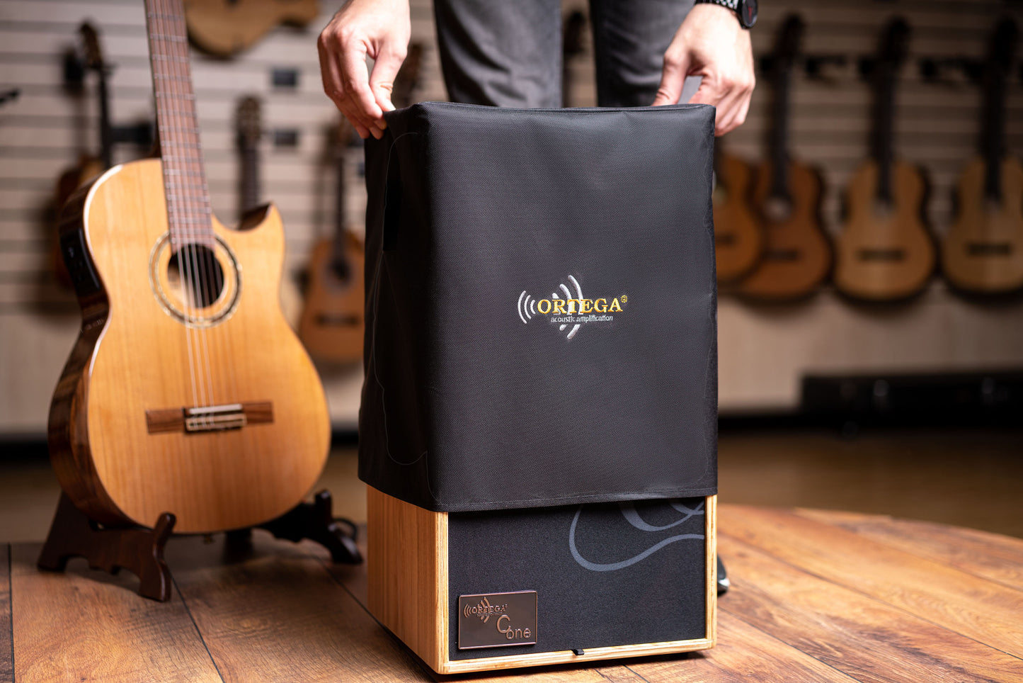 ORTEGA Amplification Serie Amplifier Combo