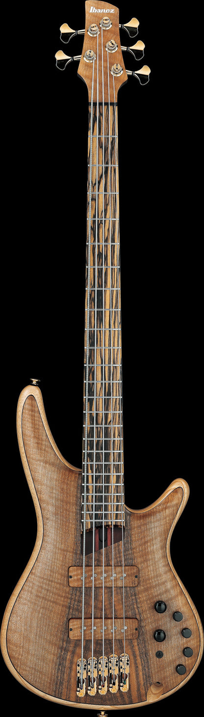 IBANEZ Visions SR Electric Bass 5-String + Case