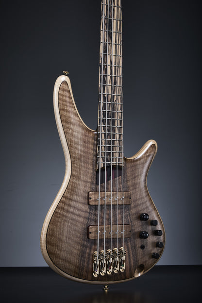 IBANEZ Visions SR Electric Bass 5-String + Case