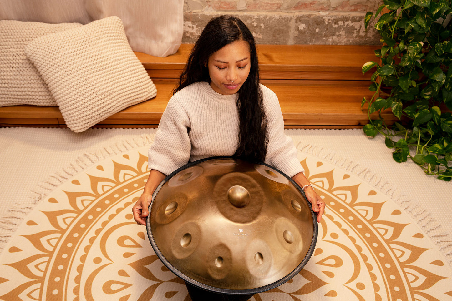 MEINL Sonic Energy Sensory Handpan Stainless Steel D Amara 10 Notes 440 Hz - Vintage Gold