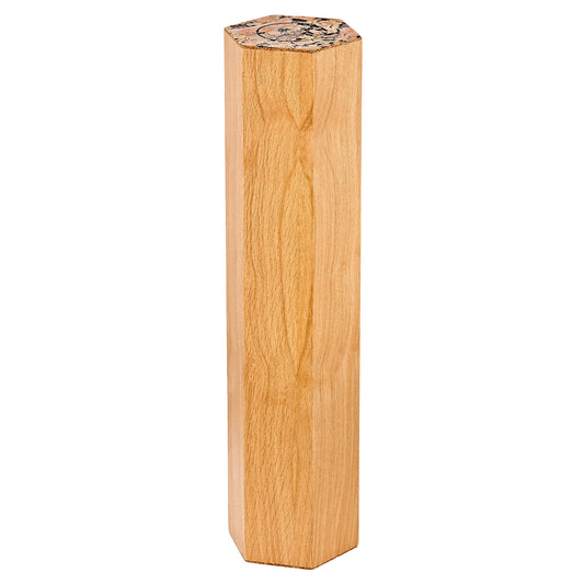 MEINL Sonic Energy Rainmaker, ≈ 15 min, Oak