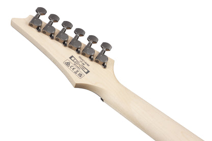 IBANEZ RG E-Gitarre 6-String - Blue Moon Burst