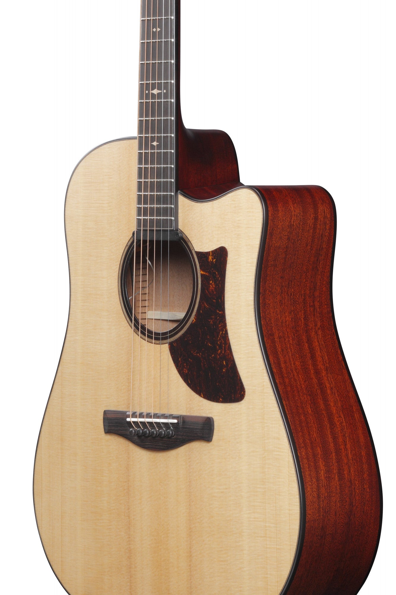 IBANEZ Platinum Collection Acoustic Guitar 6 String - Natural Low Gloss + Case