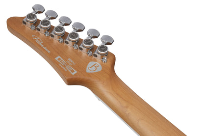 IBANEZ Bernth Signature E-Gitarre 6-String + Gigbag