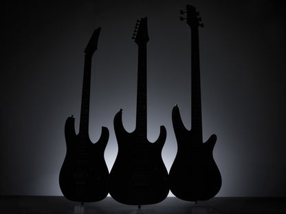 IBANEZ Visions SR Electric Bass 5-String + Case