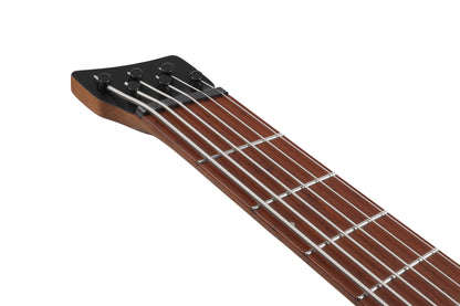 IBANEZ EHB 6-Str Metallic Gray Matte Multi Scale, Incl. Gig Bag