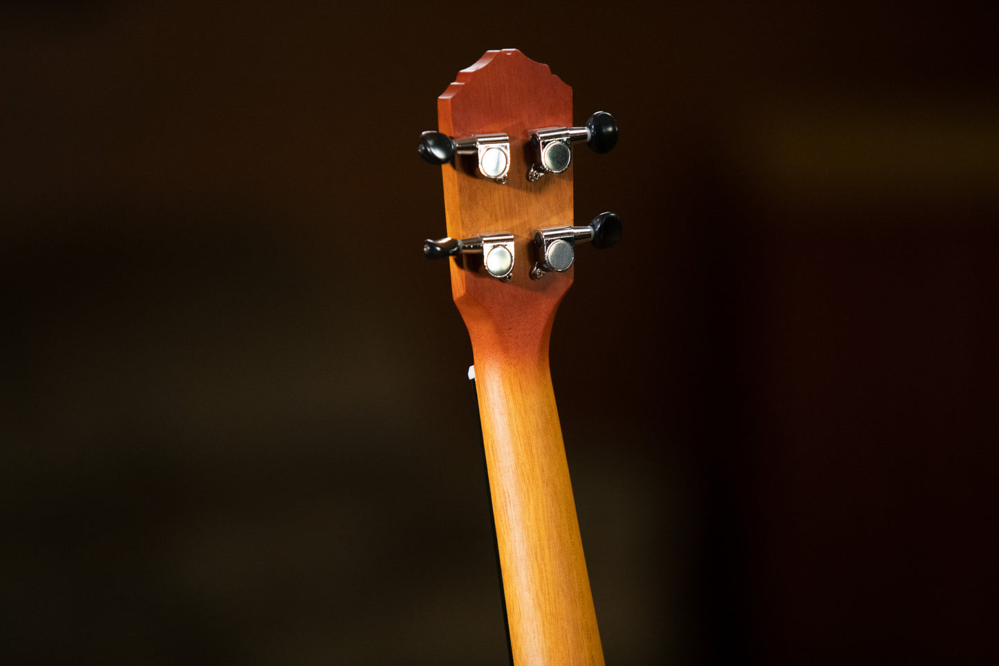 ORTEGA Earth Series Concert Ukulele 4 String - Sunburst