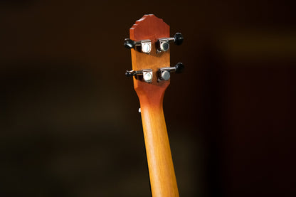 ORTEGA Earth Series Concert Ukulele 4 String - Sunburst