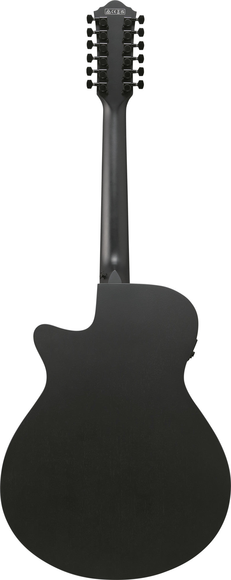 IBANEZ AEG Akustikgitarre 12-String - Black Out