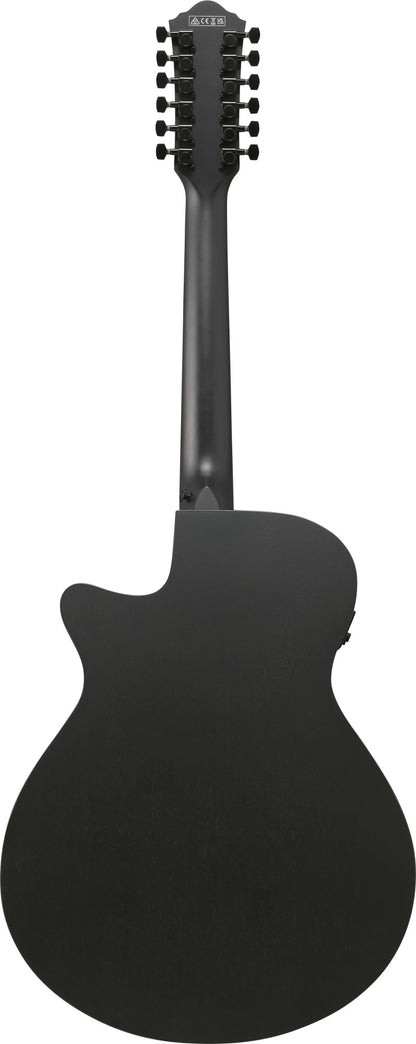 IBANEZ AEG Akustikgitarre 12-String - Black Out