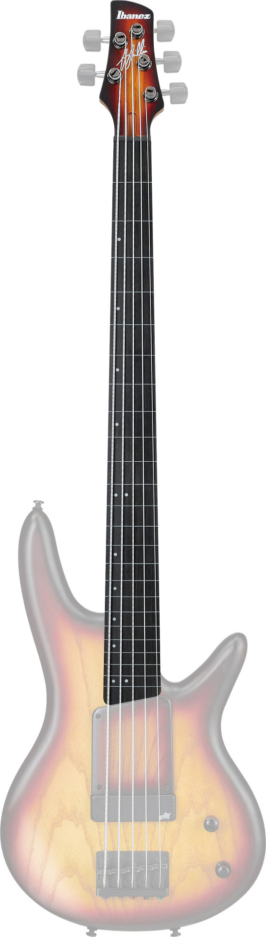 IBANEZ Hals für GWB20TH-TQF