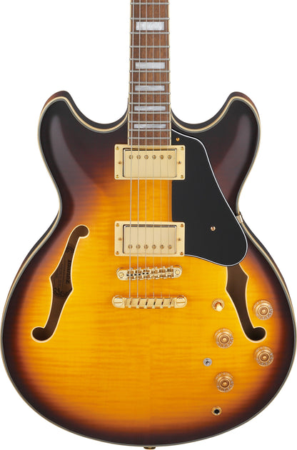 IBANEZ John Scofield Signature Hollowbody Gitarre 6-String - Two-tone-Burst