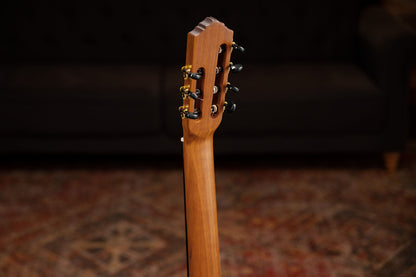 ORTEGA Family Series Pro Classical Guitar 7 String - Solid Spruce / Sapele Natural + Gig Bag