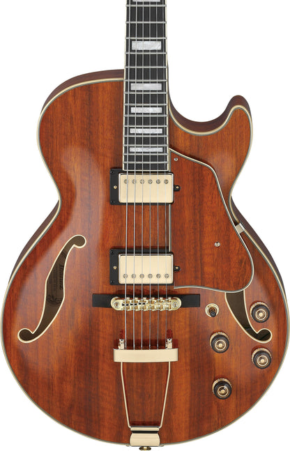 IBANEZ Artcore Expressionist AG Hollowbody Gitarre 6-String - Natural