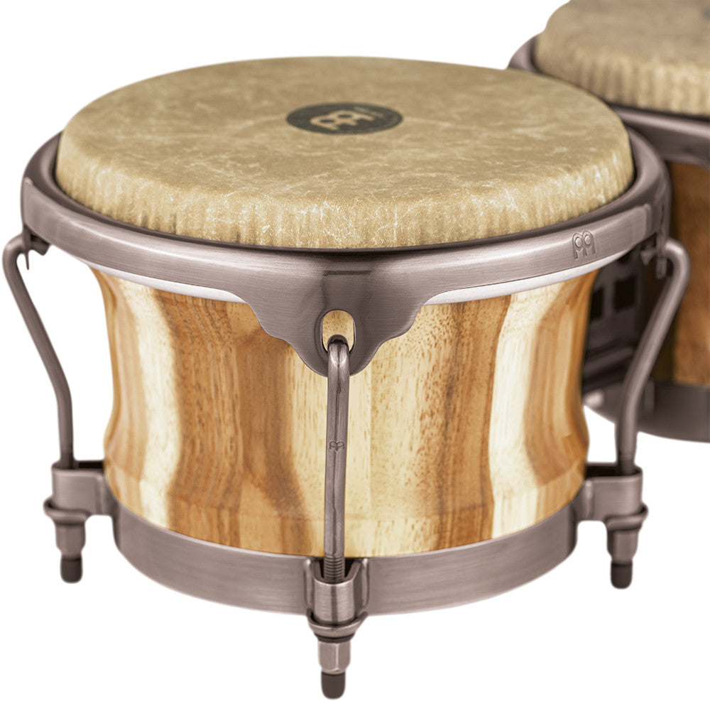 MEINL Percussion Artist Series Bongo Diego Galé, REMO® Fiberskyn® Heads - 7" & 8 1/2" Natural
