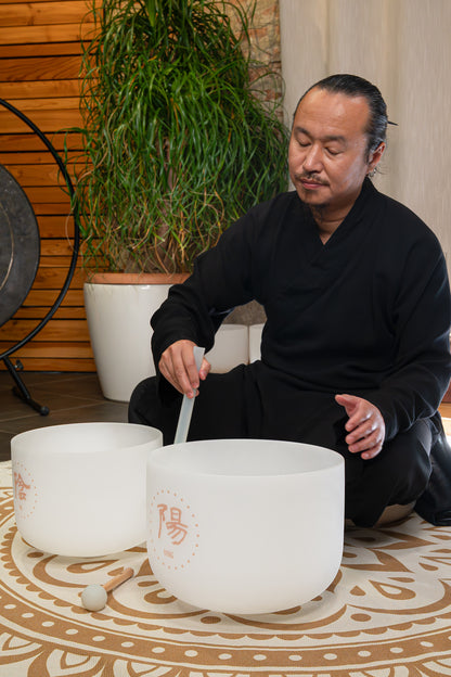 MEINL Sonic Energy 2-piece TCM Crystal Singing Bowl Yin & Yang Set