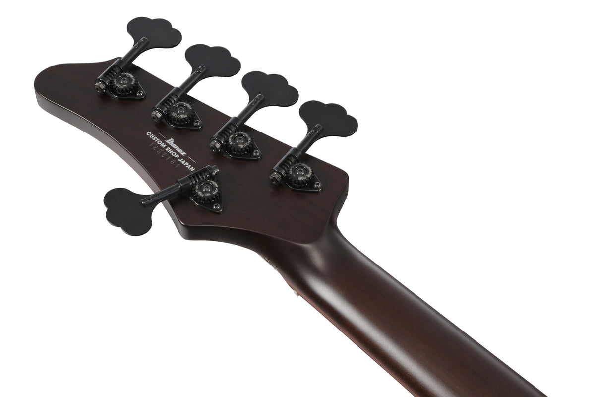 IBANEZ Visions MODE E-Bass 5-String + Koffer