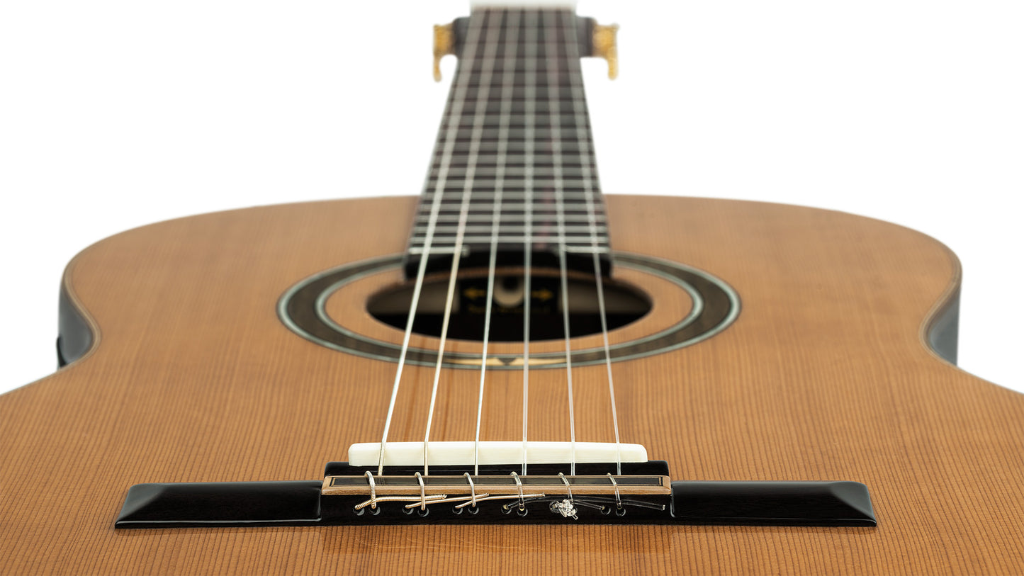ORTEGA Performer Series 4/4 Konzertgitarre 6-String - Natural + Gigbag