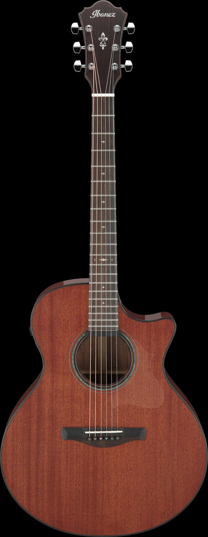 IBANEZ Platinum Collection AE Akustikgitarre 6-String - Natural Low Gloss + Koffer