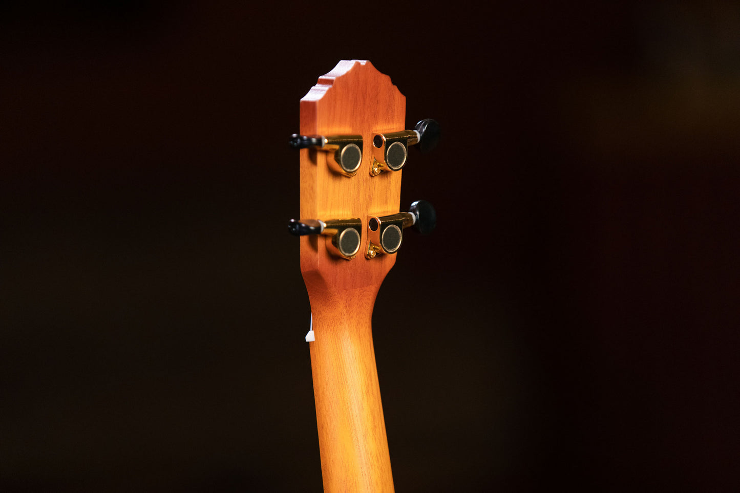 ORTEGA Custom Built Series Concert Ukulele 4 String - Honey Sunburst + Bag