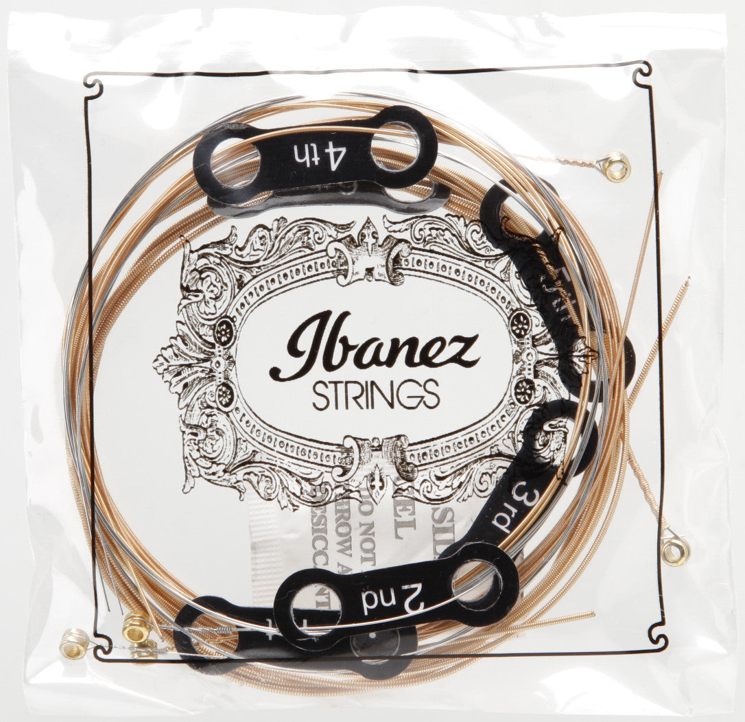 IBANEZ Saiten Set für 6 String Akustikgitarre - Extra Light