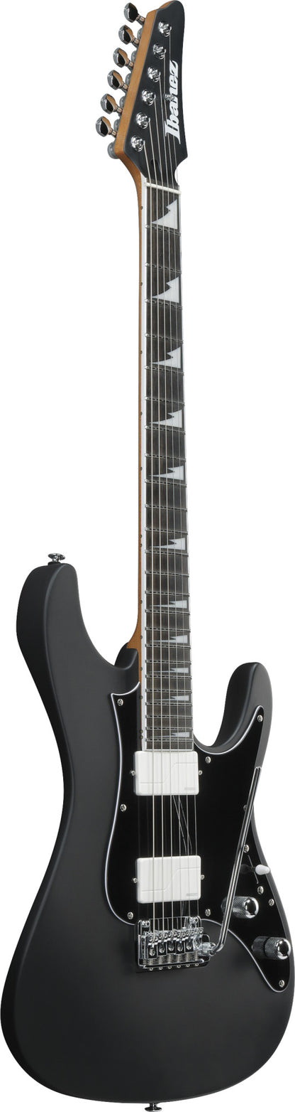 IBANEZ Bernth Signature E-Gitarre 6-String + Gigbag