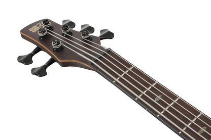 IBANEZ Premium SR E-Bass 5-String - Dual Mocha Burst Flat + Gigbag