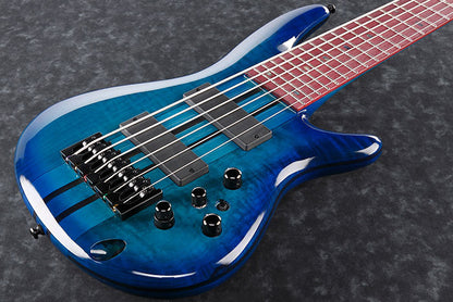 IBANEZ Adam Nitti Signature E-Bass 6-String + Gigbag