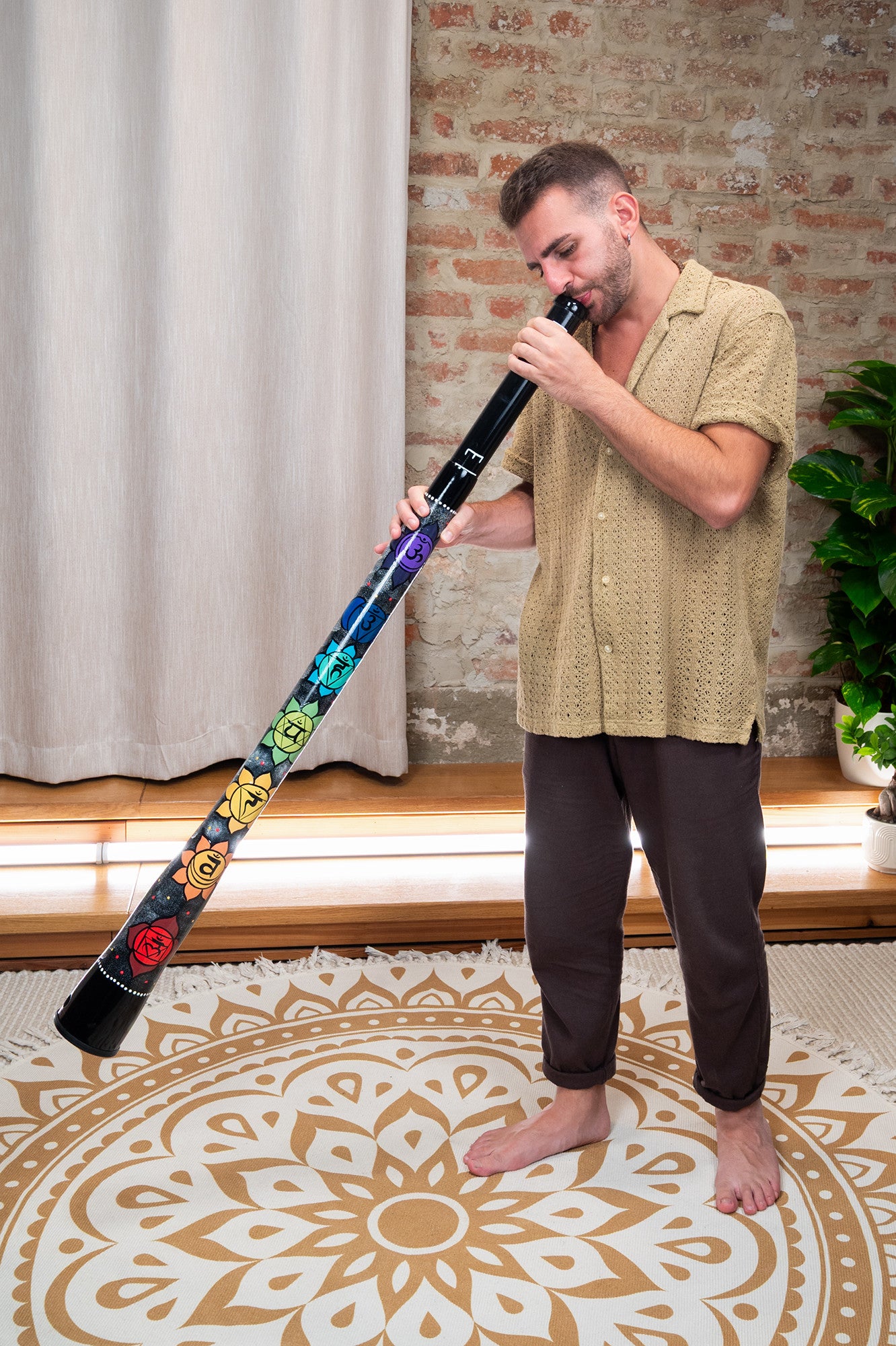MEINL Sonic Energy Chakra Didgeridoo