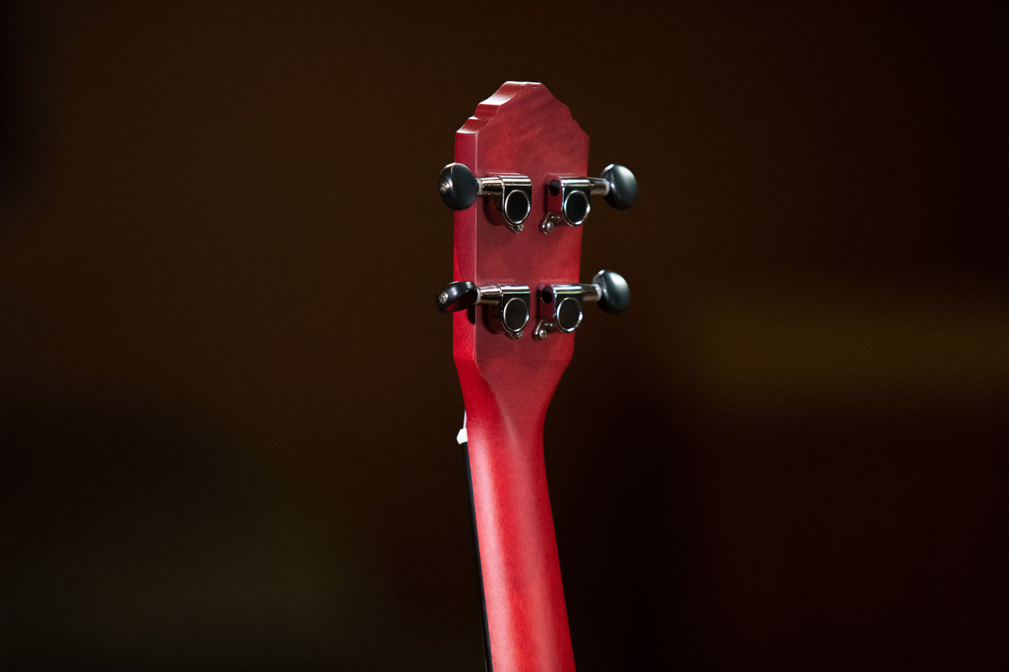 ORTEGA Earth Series Concert Ukulele 4 String - Fire Red