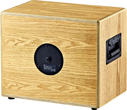 ORTEGA Amplification Serie Speaker Cabinet - 8"