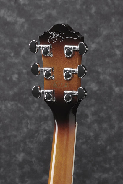 IBANEZ Joe Satriani Signature Acoustic Guitar 6-String - Vintage Burst + Case