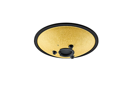 MEINL Sonic Energy 10" Compact Steel Tongue Drum, D Moll, 8 Notes, 432 Hz, Gold