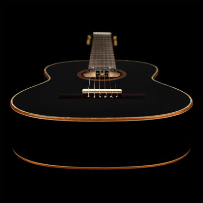 ORTEGA Family Series 4/4 Konzertgitarre 6 String - Fichte / Mahagoni + Bag
