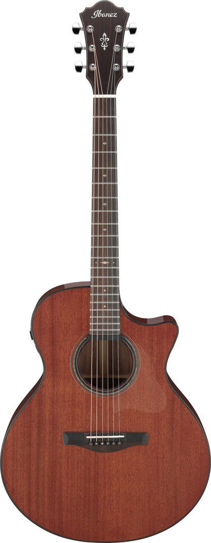 IBANEZ Platinum Collection AE Akustikgitarre 6-String - Natural Low Gloss + Koffer