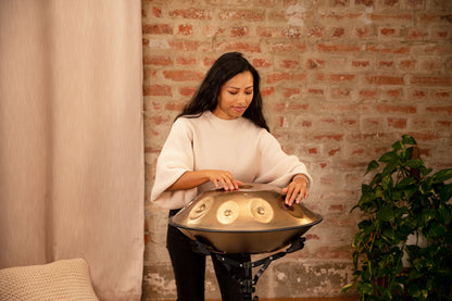 MEINL Sonic Energy Sensory Handpan Stainless Steel D Kurd 10 Notes 440 Hz - Vintage Gold
