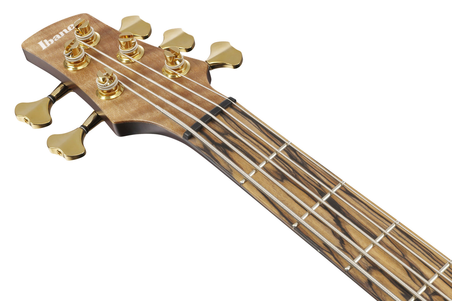 IBANEZ Visions SR Electric Bass 5-String + Case