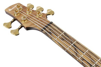 IBANEZ Visions SR Electric Bass 5-String + Case
