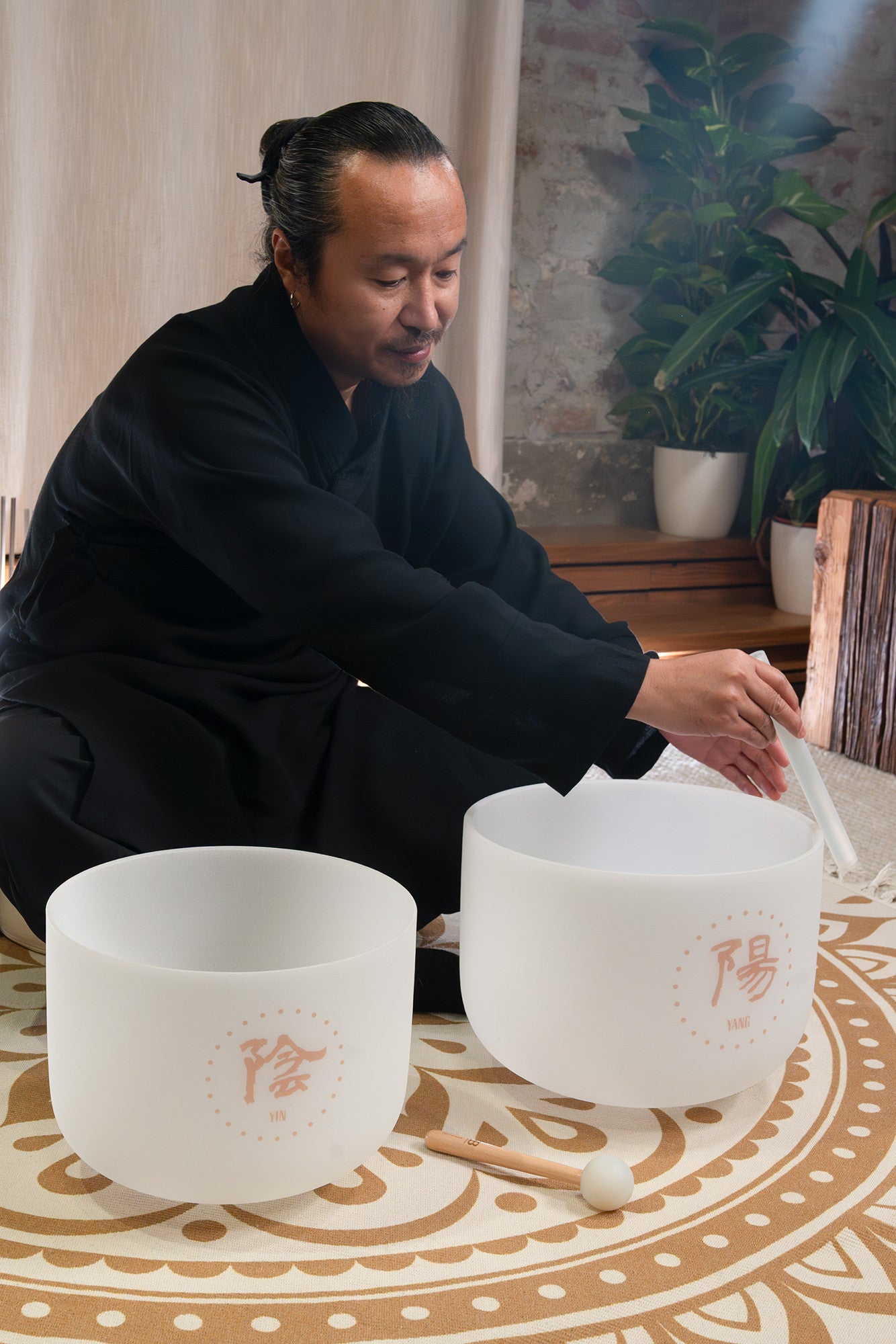 MEINL Sonic Energy 2-piece TCM Crystal Singing Bowl Yin & Yang Set