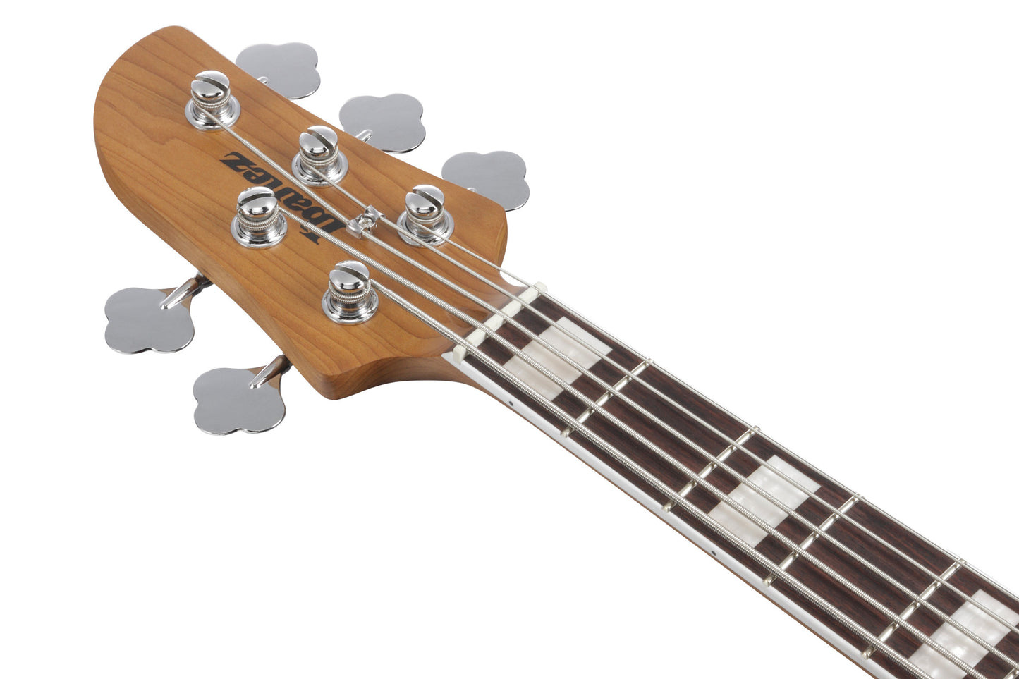 IBANEZ Talman E-Bass 5-String - Cosmic Blue Starburst