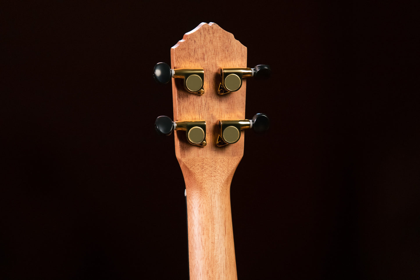 ORTEGA Timber Serie Konzert Ukulele 4 String - Open Pore Finish + Bag