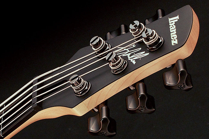 IBANEZ Gary Willis Signature Electric Bass 5-String Fretless - Black Flat