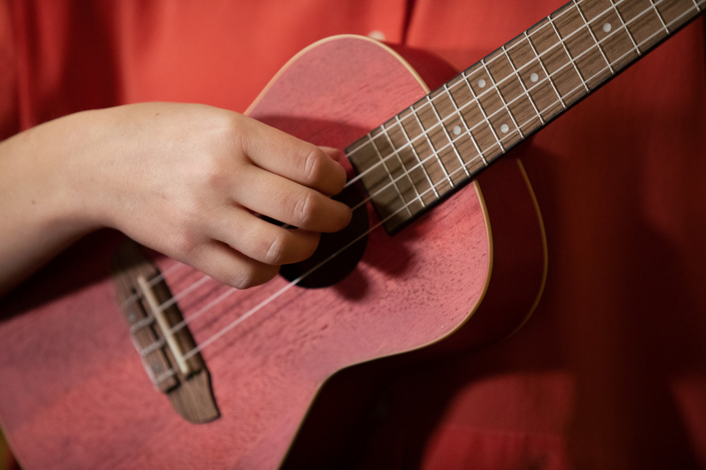 ORTEGA Earth Series Concert Ukulele 4 String - Fire Red