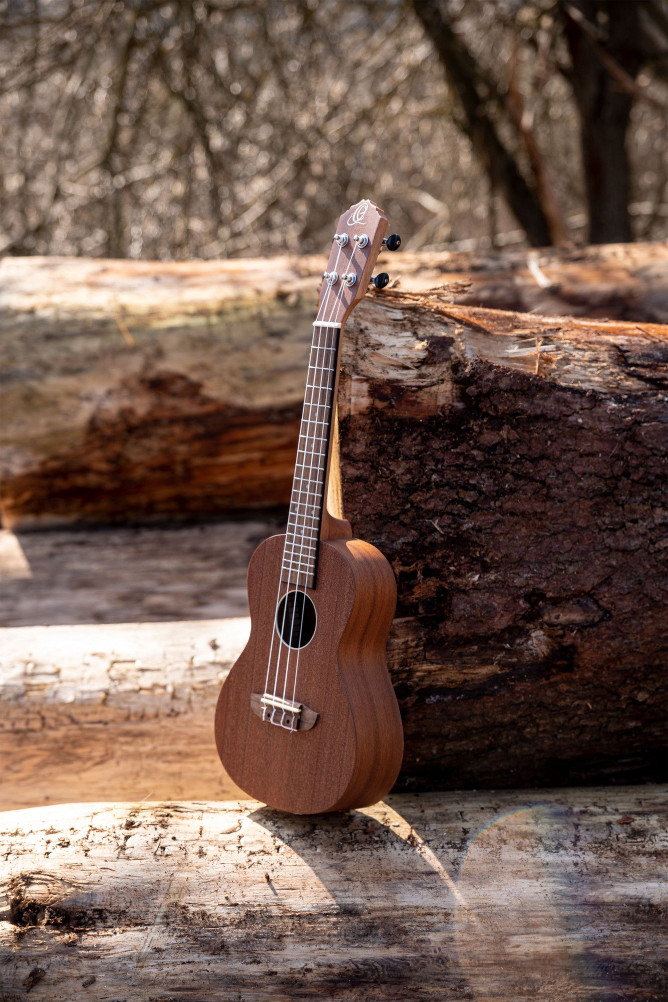 ORTEGA Timber Series Concert Ukulele 4 String - Sapele Natural + Bag