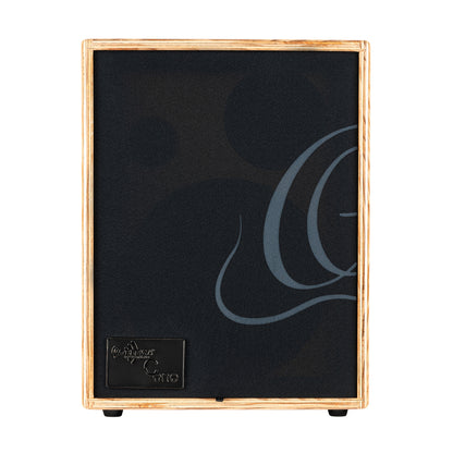 ORTEGA Amplification Series Amplifier Combo