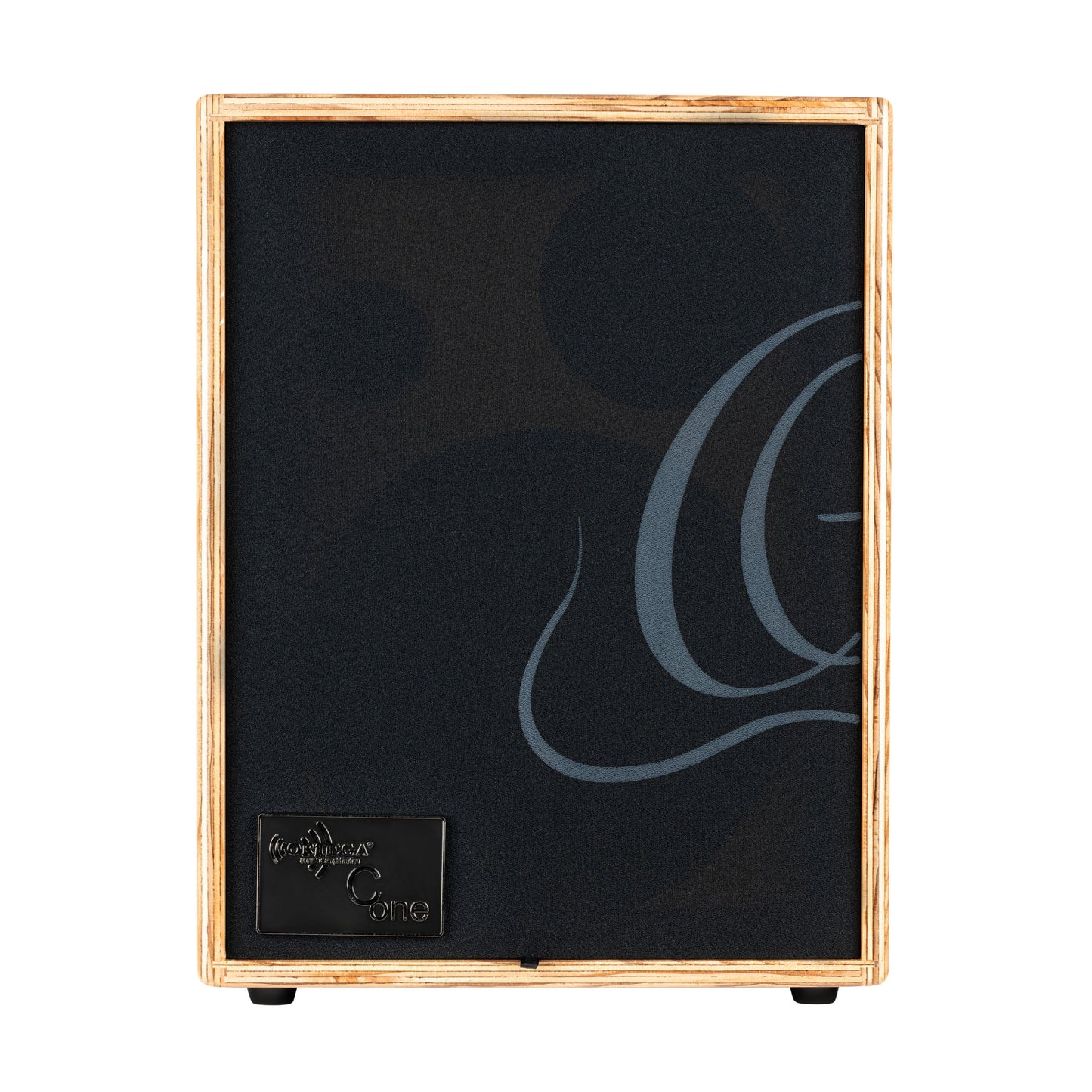 ORTEGA Amplification Series Amplifier Combo